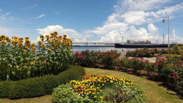 山下公園【横浜市中区】